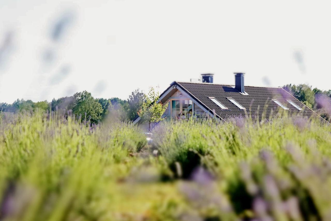 Lavender Village Kiemeliai Zewnętrze zdjęcie