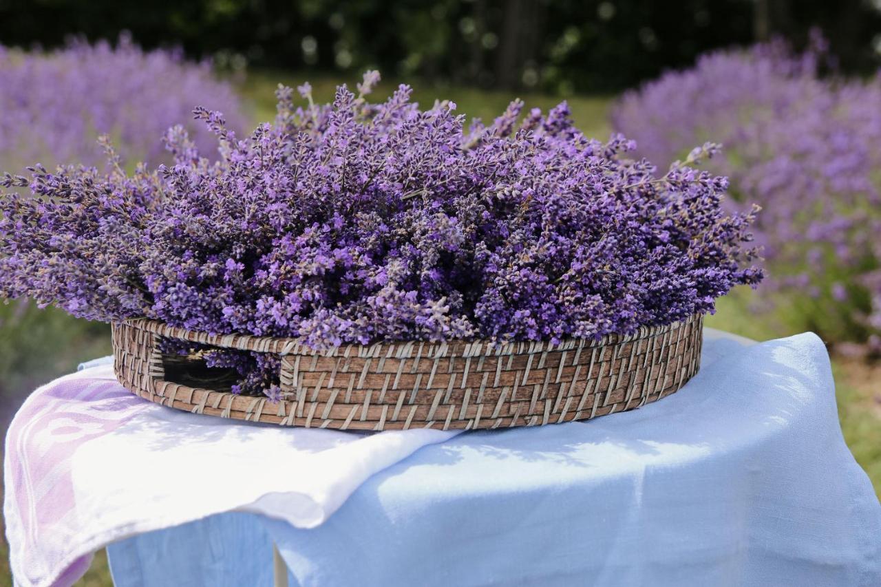 Lavender Village Kiemeliai Zewnętrze zdjęcie