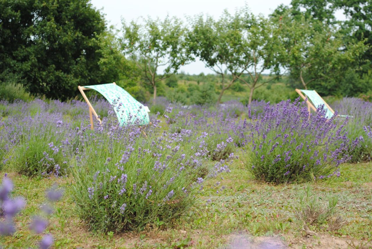 Lavender Village Kiemeliai Zewnętrze zdjęcie
