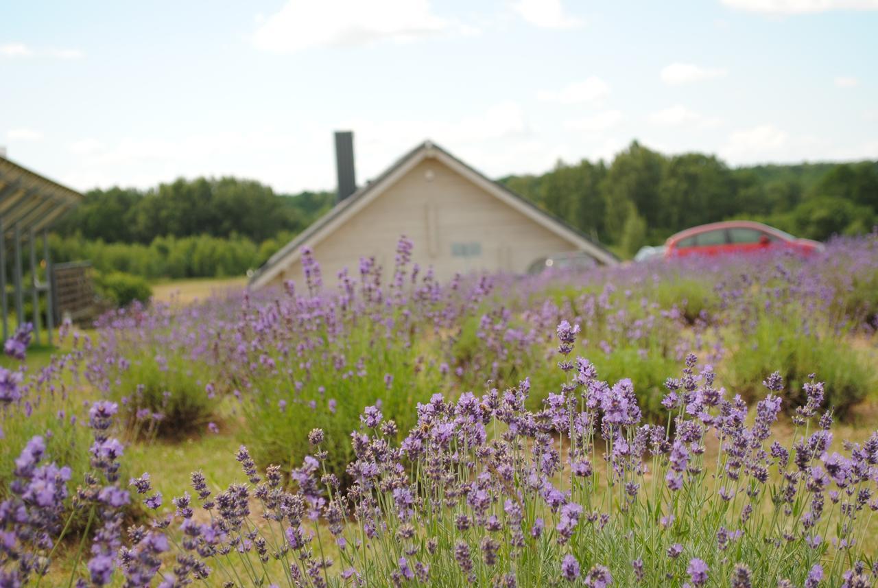 Lavender Village Kiemeliai Zewnętrze zdjęcie
