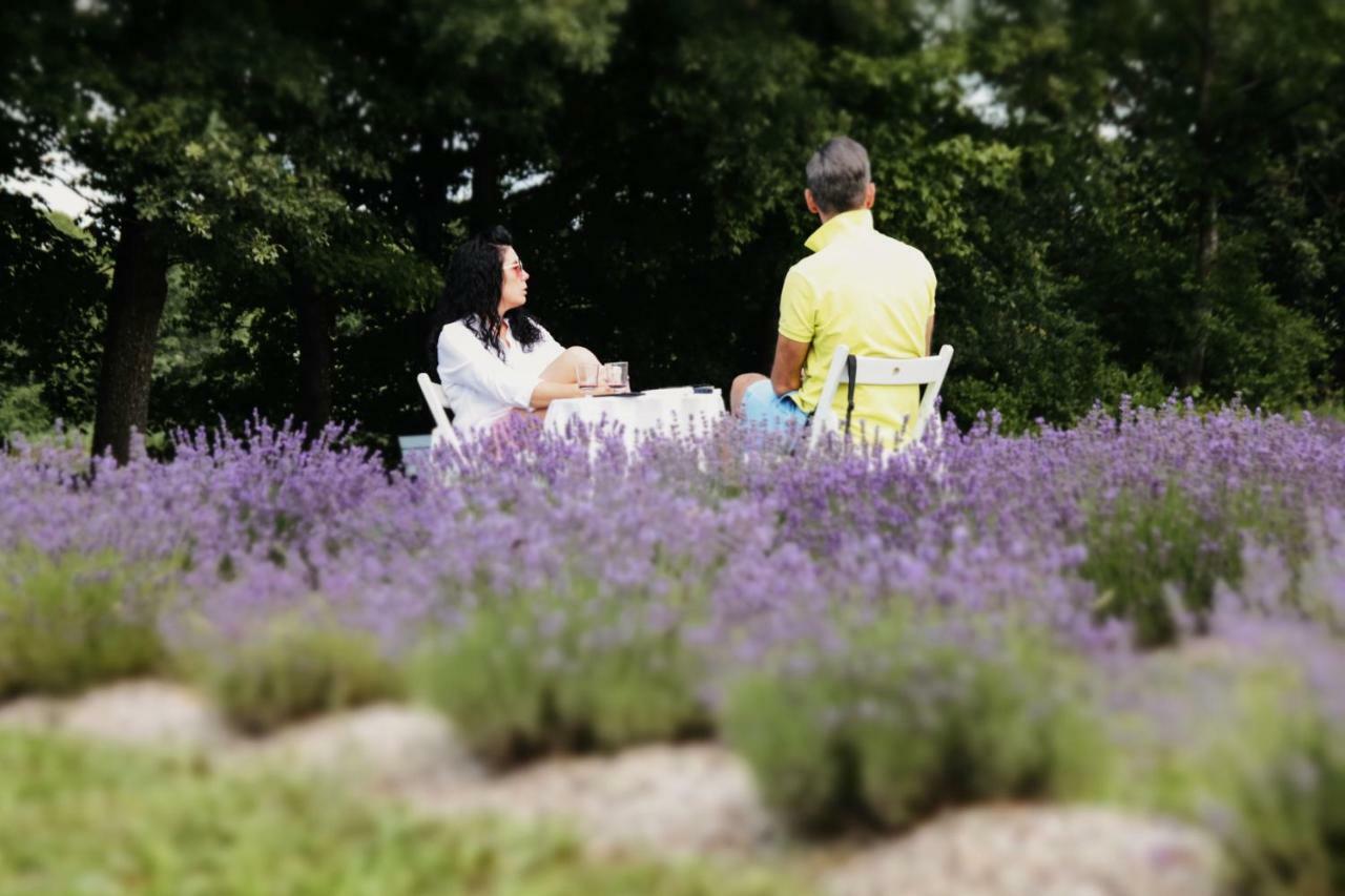 Lavender Village Kiemeliai Zewnętrze zdjęcie
